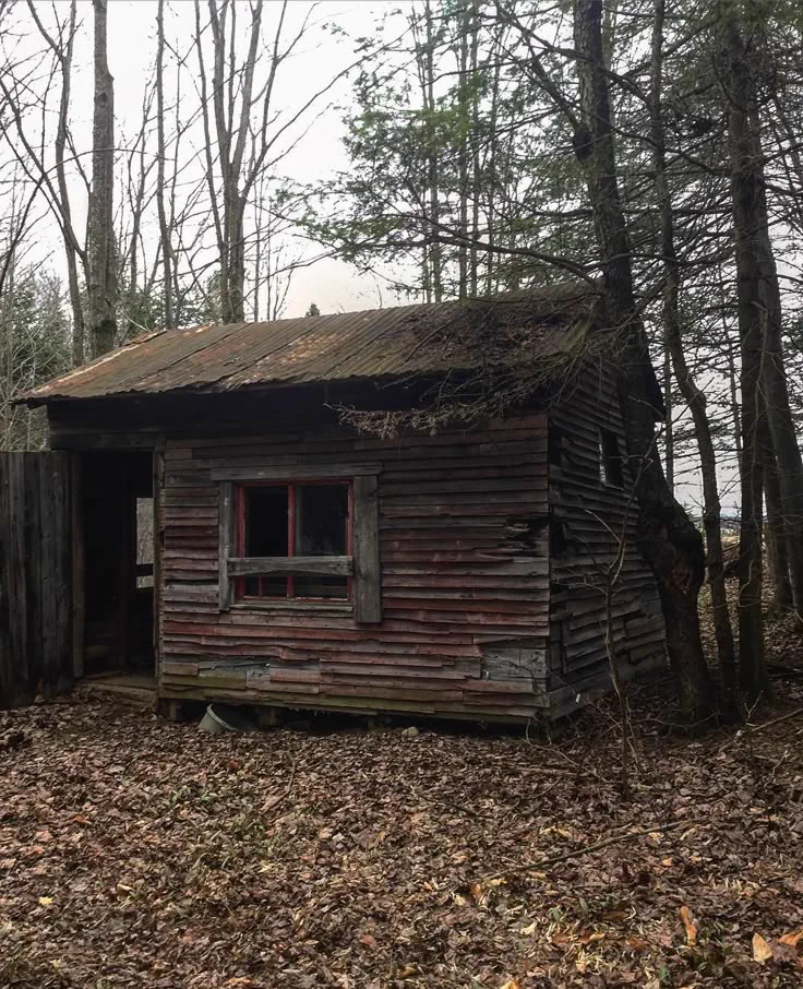 La cabane dans les bois