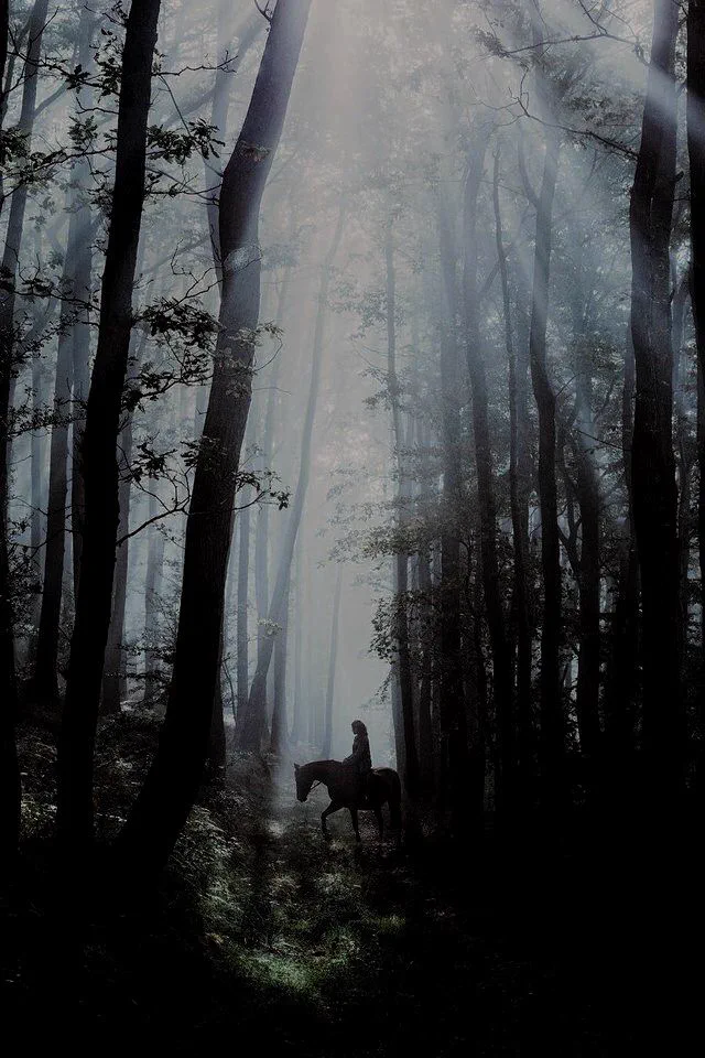 La foret interdite